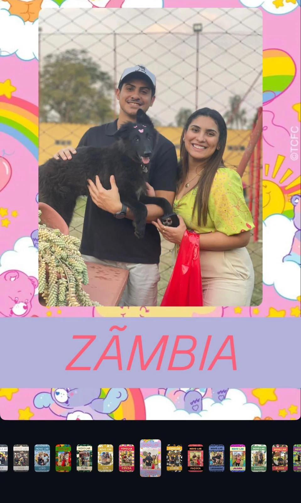 Adoção de Simba